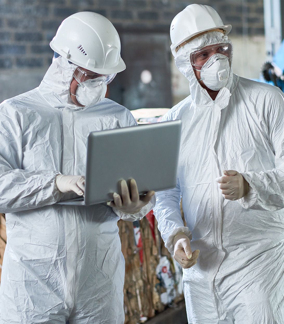 Professionelle Schädlingsbekämpfung